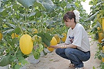 Ứng dụng công nghệ cao: Năng suất tăng, chất lượng sản phẩm vượt trội