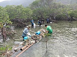 Bàn giải pháp giảm rác thải đại dương