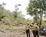 Ứng dụng thiết bị thông minh để bảo vệ rừng