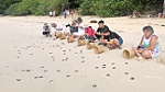 Nỗ lực bảo tồn và phát triển đa dạng sinh học ở Côn Đảo