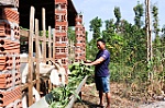 Giải ngân 1 tỷ đồng cho các dự án nuôi dê