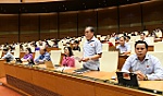 Tăng kỷ luật hành chính, bảo đảm hiệu lực xét xử - Cần chế tài cụ thể trong tố tụng hành chính