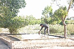 Người dân đồng thuận di dời cơ sở chăn nuôi ra khỏi khu dân cư