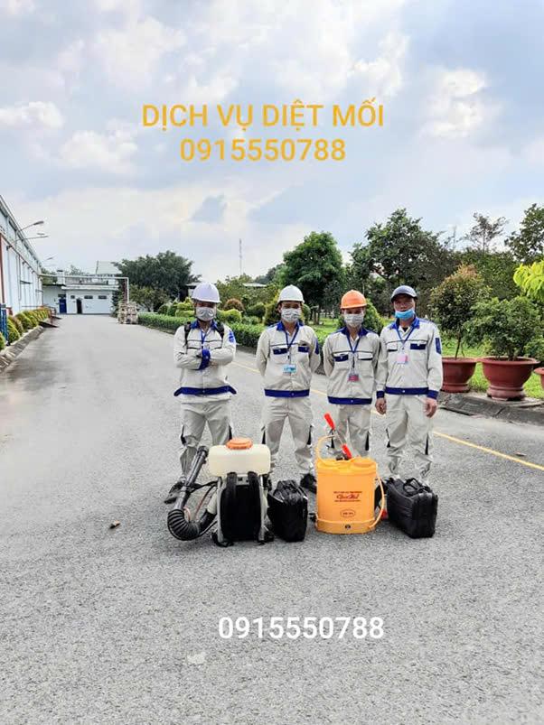 Dịch vụ diệt mối Phương Nam – An toàn, hiệu quả, chuyên nghiệp