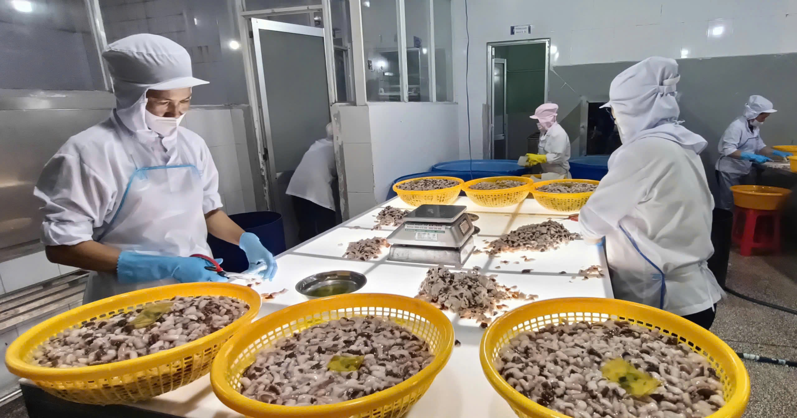 Xuất khẩu nông, lâm, thủy sản tăng 10,7%