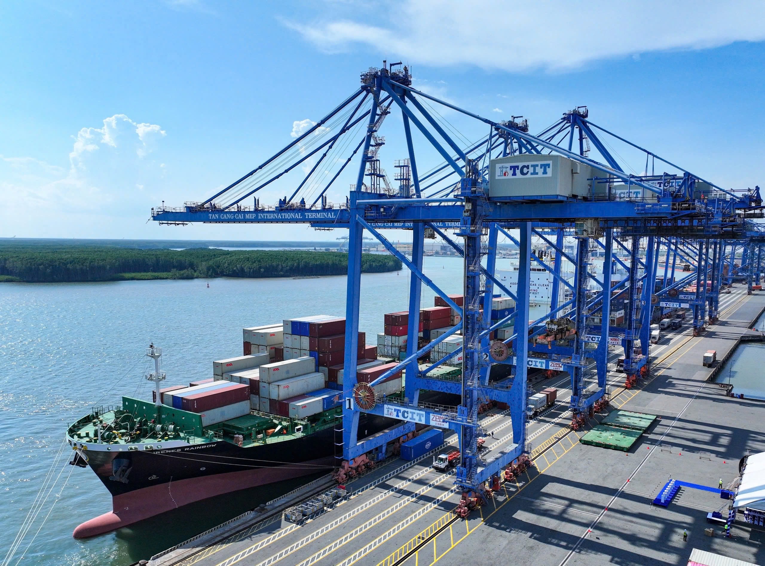 Giá dịch vụ bốc dỡ tại 2 cảng nước sâu sẽ được  Tổ công tác rà soát. Trong ảnh: Tàu cập cảng TCIT  làm hàng.