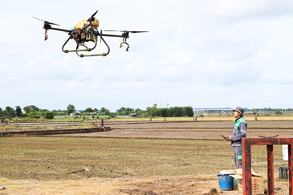 Anh Đoàn Nhất Phương điều khiển drone phun thuốc diệt ốc bưu vàng để nông dân chuẩn bị xuống giống  vụ lúa Hè Thu 2025 tại cánh đồng thôn Sông Cầu, xã Nghĩa Thành, huyện Châu Đức.