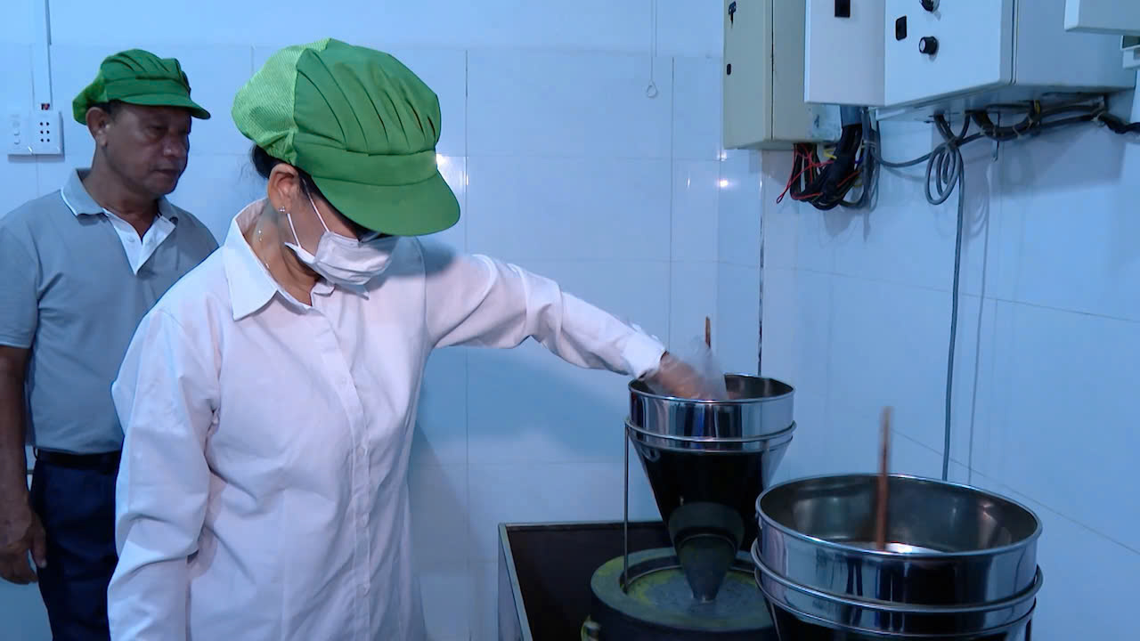 Chế biến bột rau má tại cơ sở sản xuất bột rau Thảo Nguyên, xã Phước Hưng, huyện Long Đất.