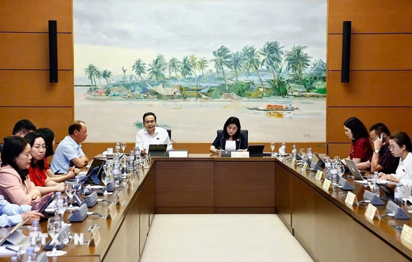 Chủ tịch Quốc hội Trần Thanh Mẫn phát biểu thảo luận tại tổ.