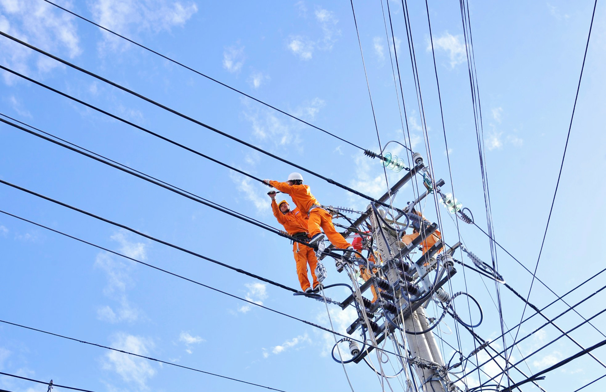 Nhân viên Công ty Điện lực Bà Rịa-Vũng Tàu bảo trì lưới điện.