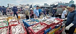 Gỡ vướng cho doanh nghiệp xuất khẩu thủy sản