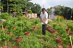 Vượt khó làm giàu, sẻ chia với người khó khăn