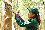 Công ty Cổ phần Cao su Bà Rịa tuyên dương 87 tập thể, cá nhân