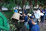 DIC Group và cộng đồng chung tay dọn dẹp Hồ Phụng Hoàng