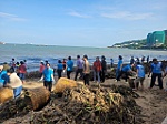 Chung tay làm sạch phố phường chào mừng thành lập phường Vũng Tàu