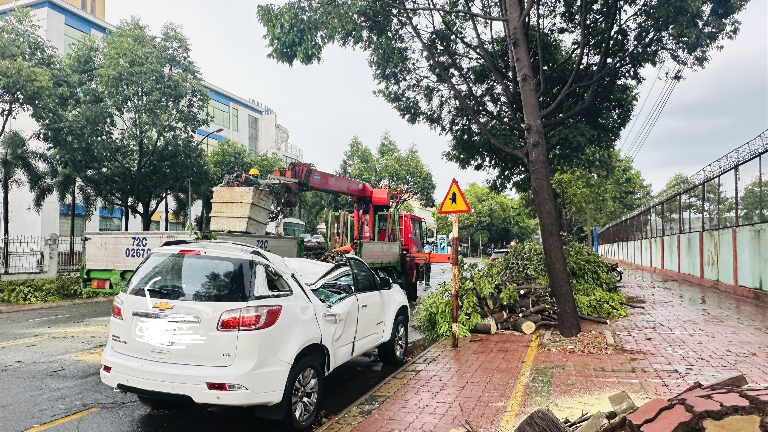 Cây xanh đổ đè bẹp xe ô tô đậu bên đường