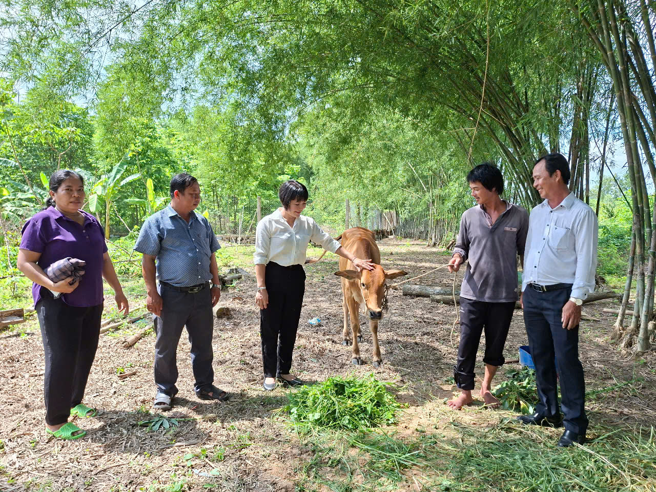 Hỗ trợ bò giống cho 2 hộ thoát nghèo xã Long Sơn