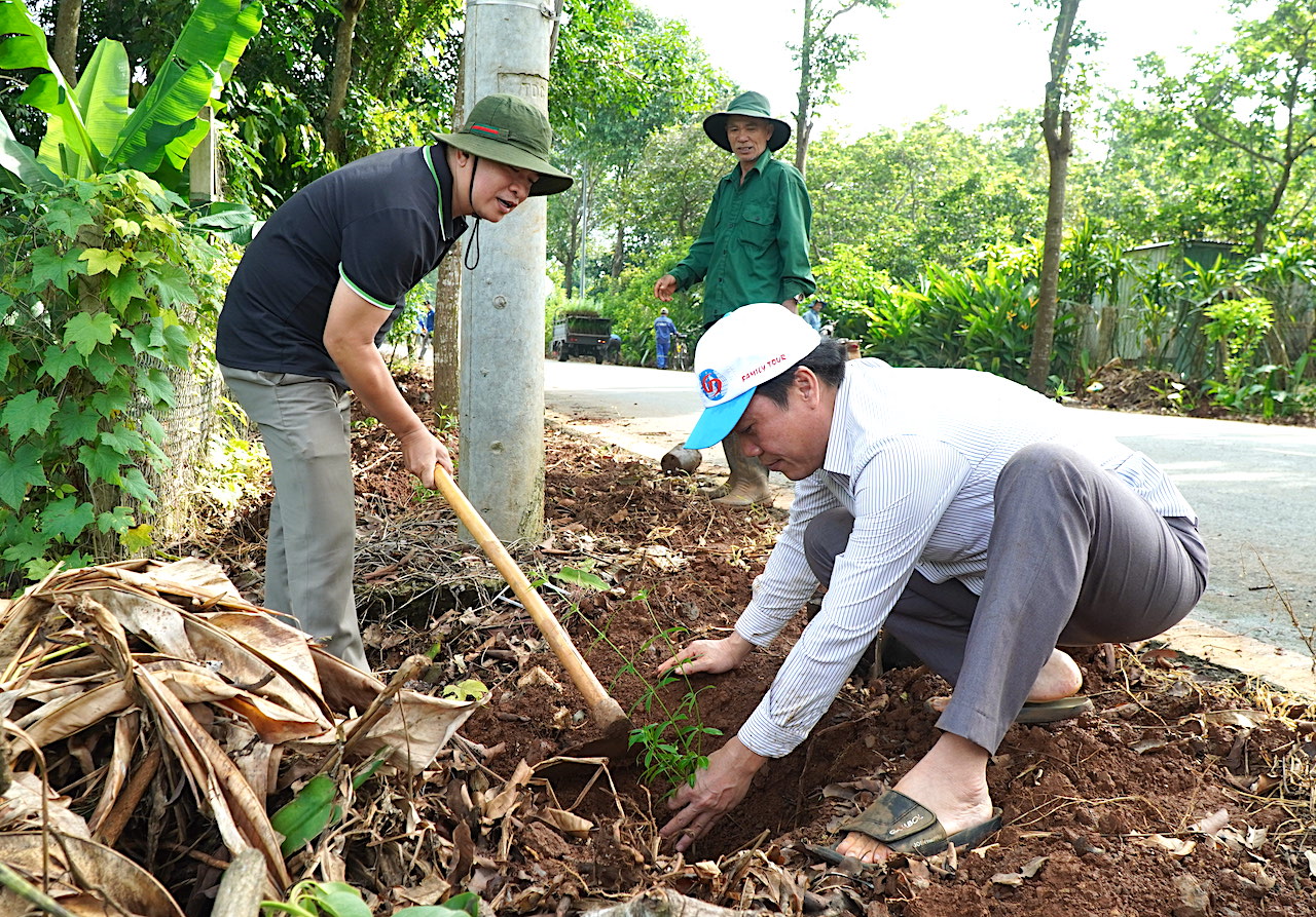 Kim Long trồng 10 ngàn cây hoa làm đẹp đường quê