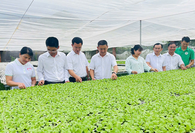 Cấp xã sẵn sàng đại hội sau sáp nhập
