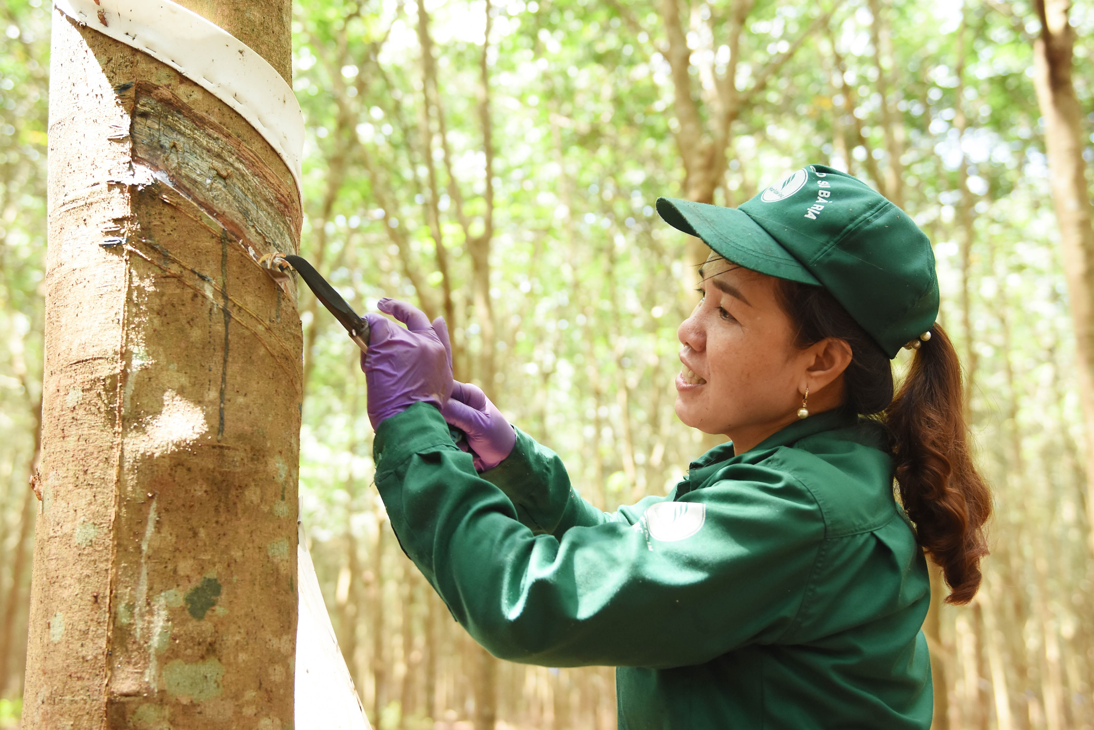 Công ty Cổ phần Cao su Bà Rịa tuyên dương 87 tập thể, cá nhân