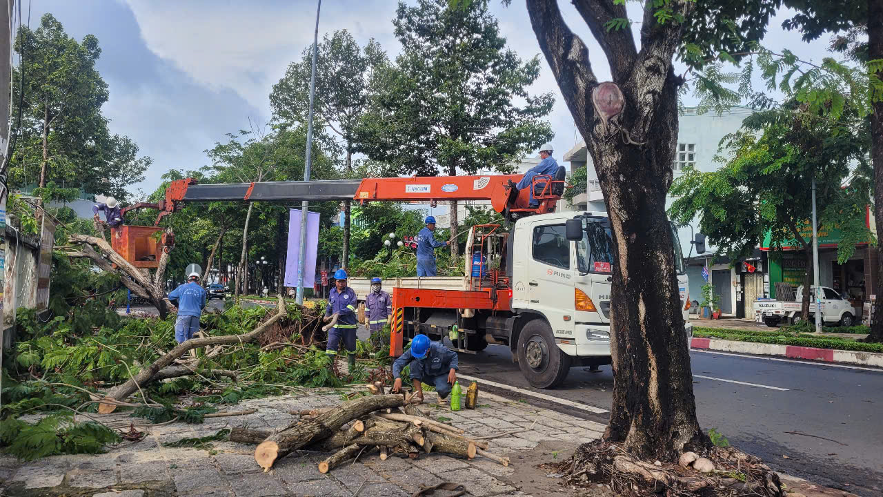 Sáng 2/6, Công ty CP đô thị Bà Rịa tăng cường công nhân và phương tiện để xử lý cây xanh gãy đổ trên đường Nguyễn Tất Tành, TP. Bà Rịa