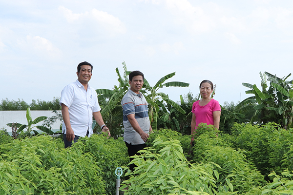  Ông Lý Hồng Nam (bìa trái), Chủ tịch Hội Nông dân xã Long Tân và cán bộ ấp Tân Thuận đến thăm mô hình trồng rau ngót theo hướng hữu cơ của gia đình bà Nguyễn Thị Hương.