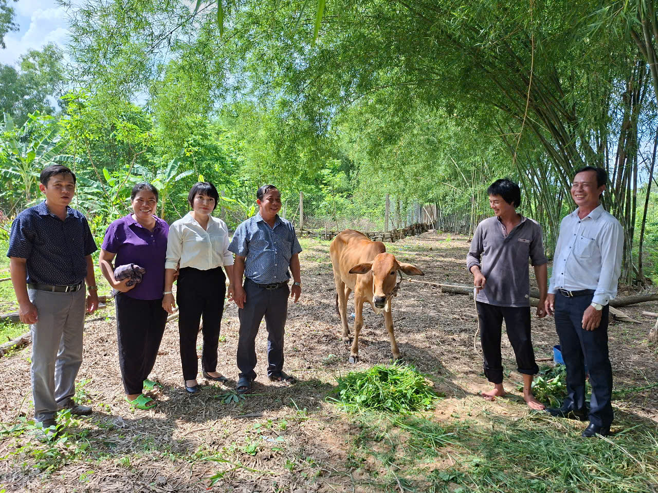Đại diện UBMTTQ Việt Nam TP.Vũng Tàu và xã Long Sơn trao bò hỗ trợ anh Nguyễn Thanh Minh, thôn 4.