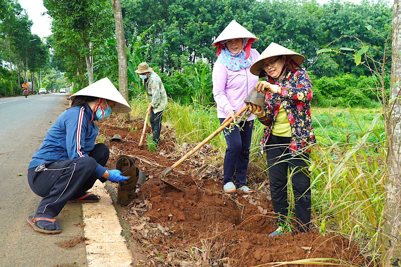 Khoảng 10.000 cây hoa hoàng yến và hoàng lan được người dân trồng trên tuyến đường