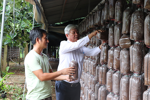 Phó Chủ tịch Hội Nông dân huyện Châu Đức Thân Xuân Động tham quan mô hình trồng nấm mèo, nấm bào ngư của gia đình ông Hoàng Đệ Tam, ấp Liên Lộc, xã Xà Bang.