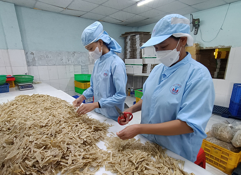 Công nhân Công ty Tứ Hải (TP.Vũng Tàu) sơ chế xương cá đục sấy khô xuất khẩu sang Nhật.