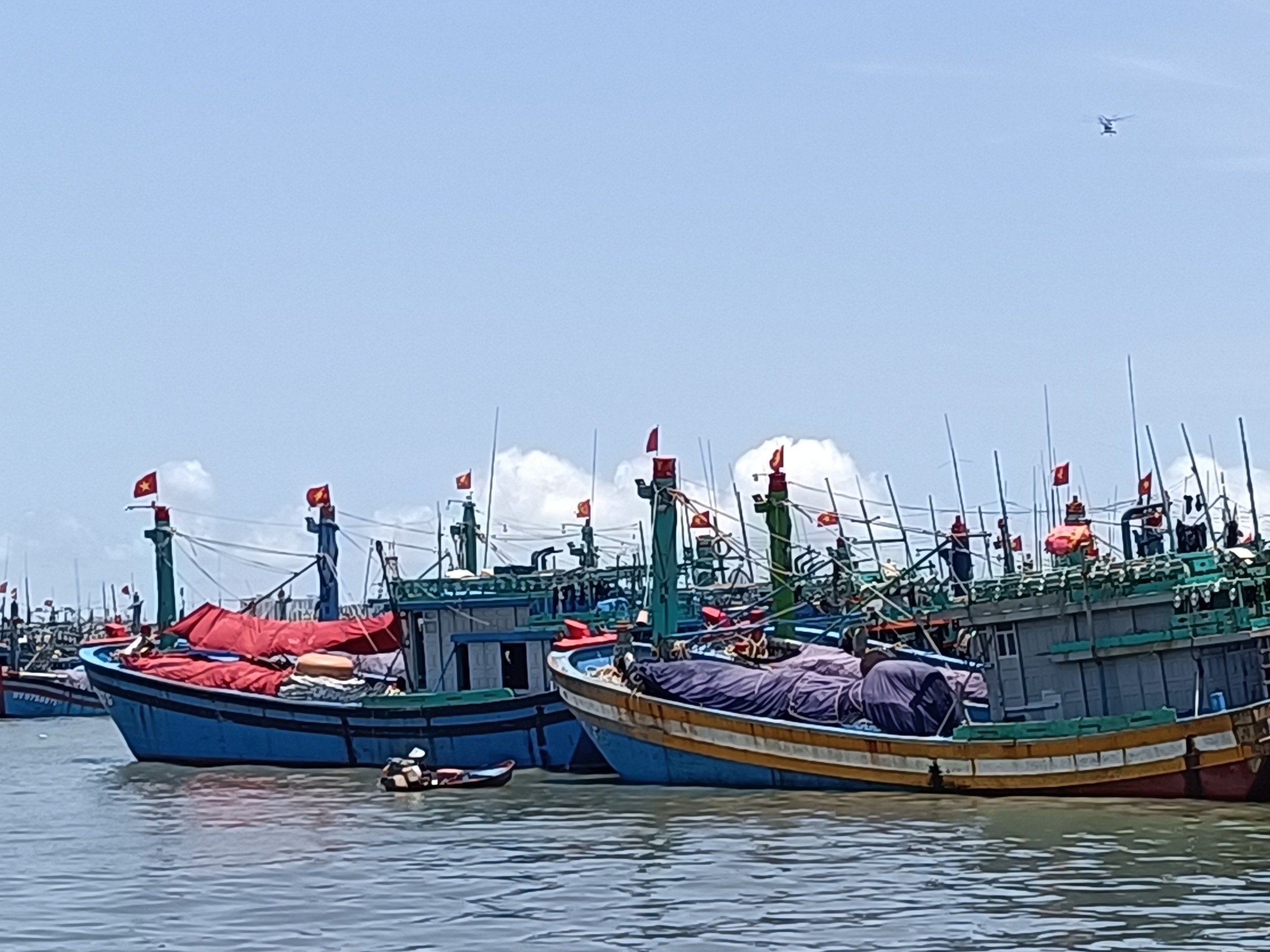  96,6% tàu cá đánh bắt xa bờ của tỉnh Bà Rịa - Vũng Tàu đạt tiêu chuẩn về an toàn thực phẩm. Số còn lại nằm bờ không hoạt động do hư hỏng, mục nát hoặc đang làm thủ tục tái cấp giấy phép.