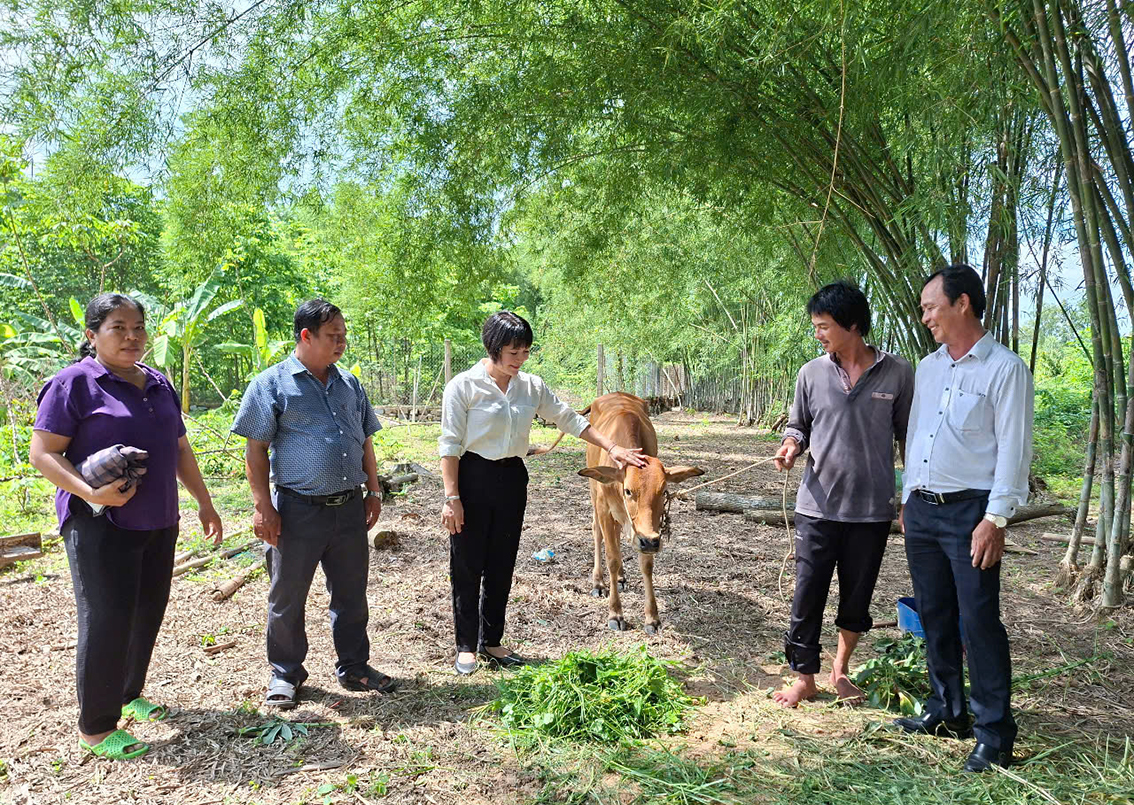 Đại diện UBMTTQ Việt Nam TP.Vũng Tàu và xã Long Sơn trao bò hỗ trợ anh Nguyễn Thanh Minh, thôn 4.