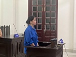 Tuyên phạt 4 năm 6 tháng tù người giữ trẻ không phép làm bé gái 11 tháng tuổi tử vong