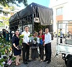 Bí thư phường Vũng Tàu tặng 2.000 cây xanh để làm đẹp các khu phố