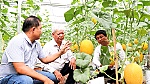 Xã Xuân Sơn (TPHCM) phấn đấu đạt chuẩn nông thôn mới kiểu mẫu
