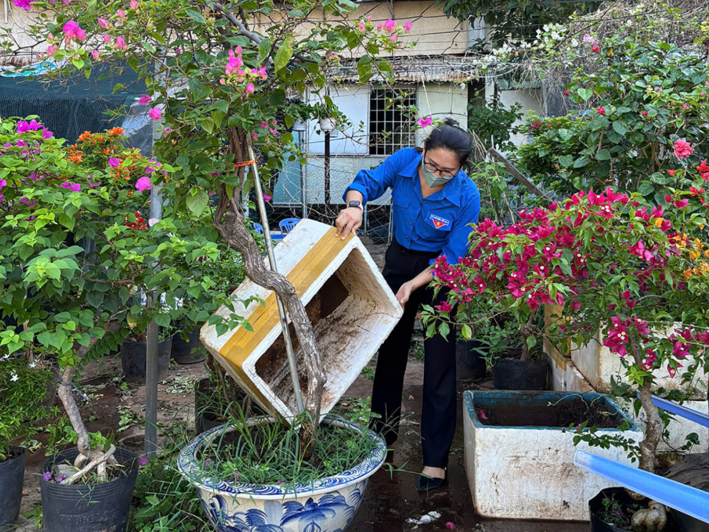 Các phường ra quân Chiến dịch diệt lăng quăng phòng, chống bệnh sốt xuất huyết