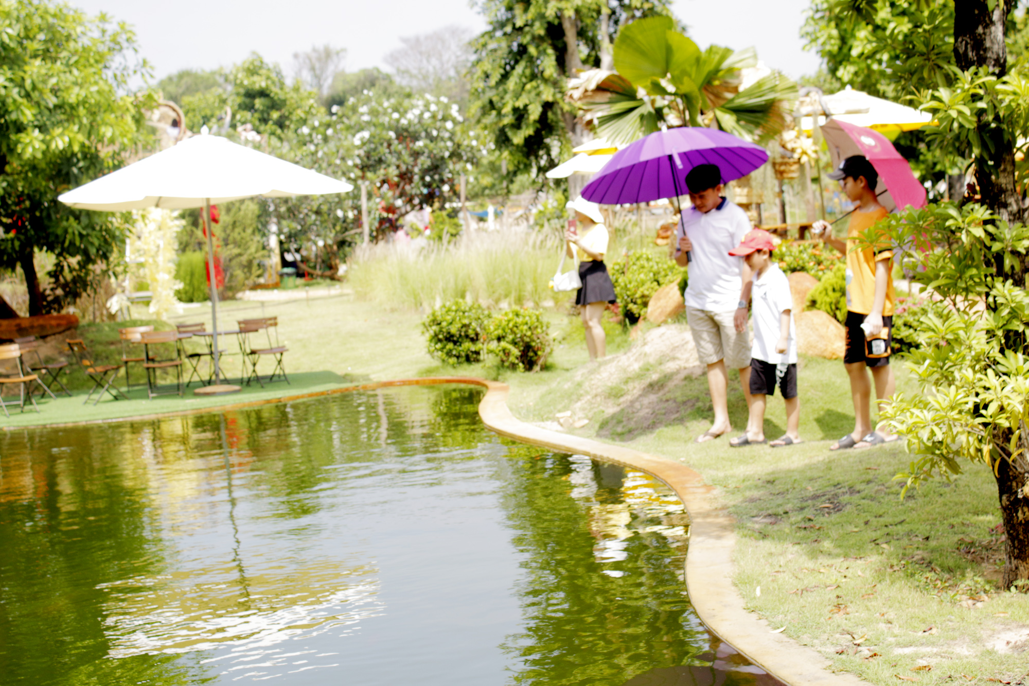 Trong nhiệm kỳ tới, Đảng bộ xã Phước Hải hướng tới xây dựng Phước Hải trở thành điểm đến du lịch biển-sinh thái-nghỉ dưỡng chất lượng cao. Trong ảnh: Du khách tham quan tại Gozoo Farm.  